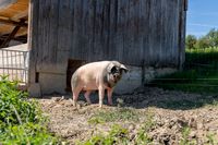 Vogelhof - Fotograf Vinzent Weinbeer-14